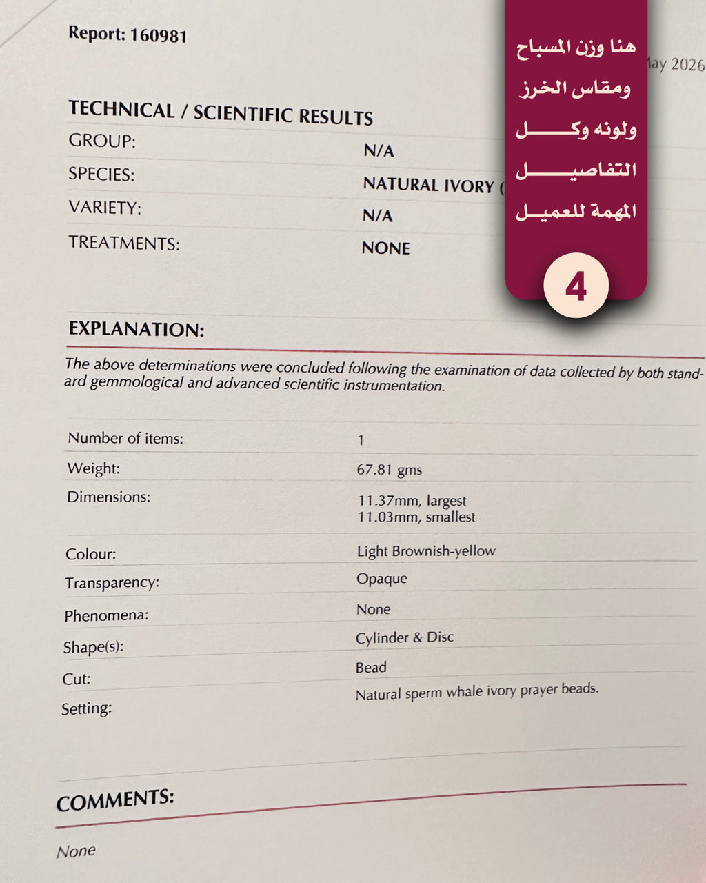 عاج حوت العنبر منوصف