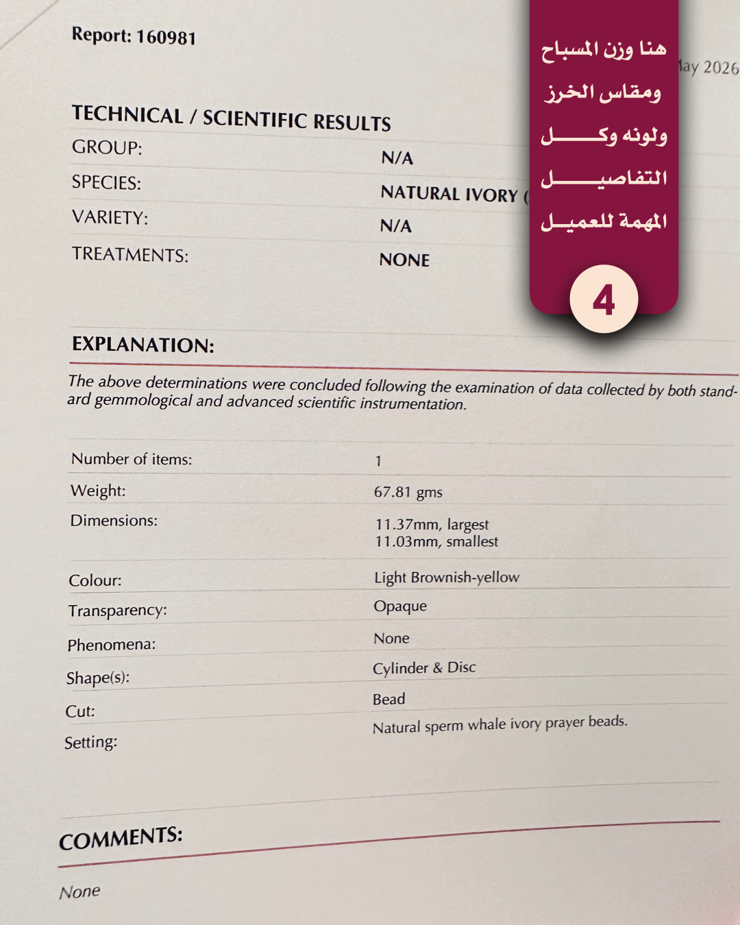 عاج حوت العنبر منوصف