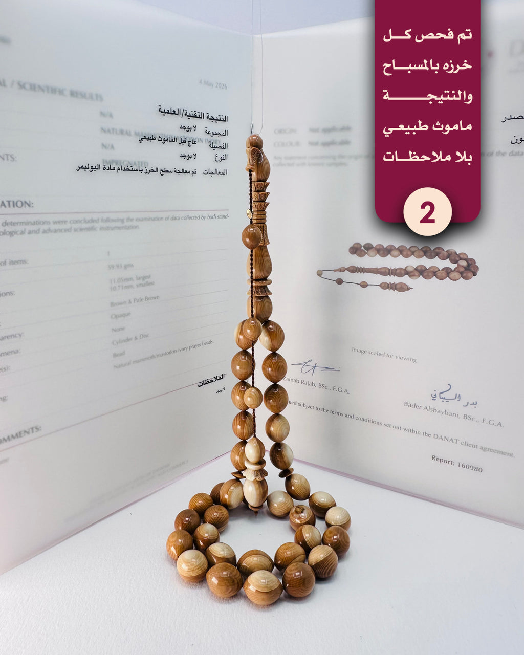 عاج ماموث منوصف