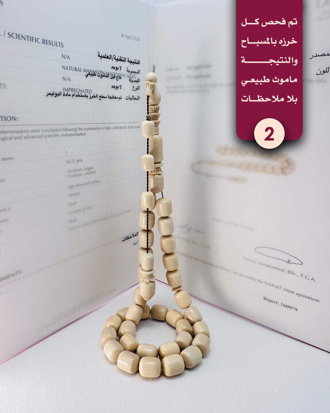 عاج ماموث أبيض