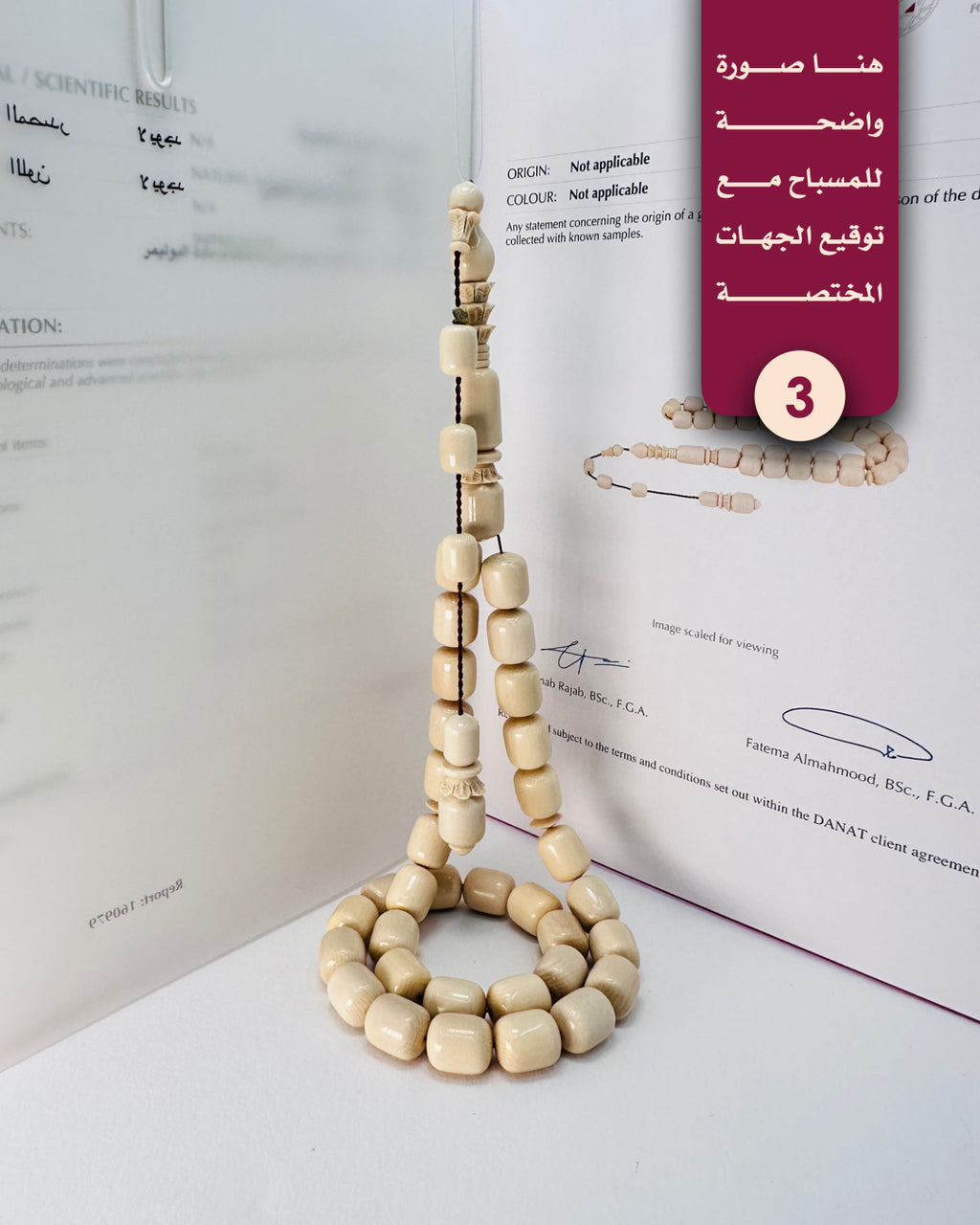 عاج ماموث أبيض