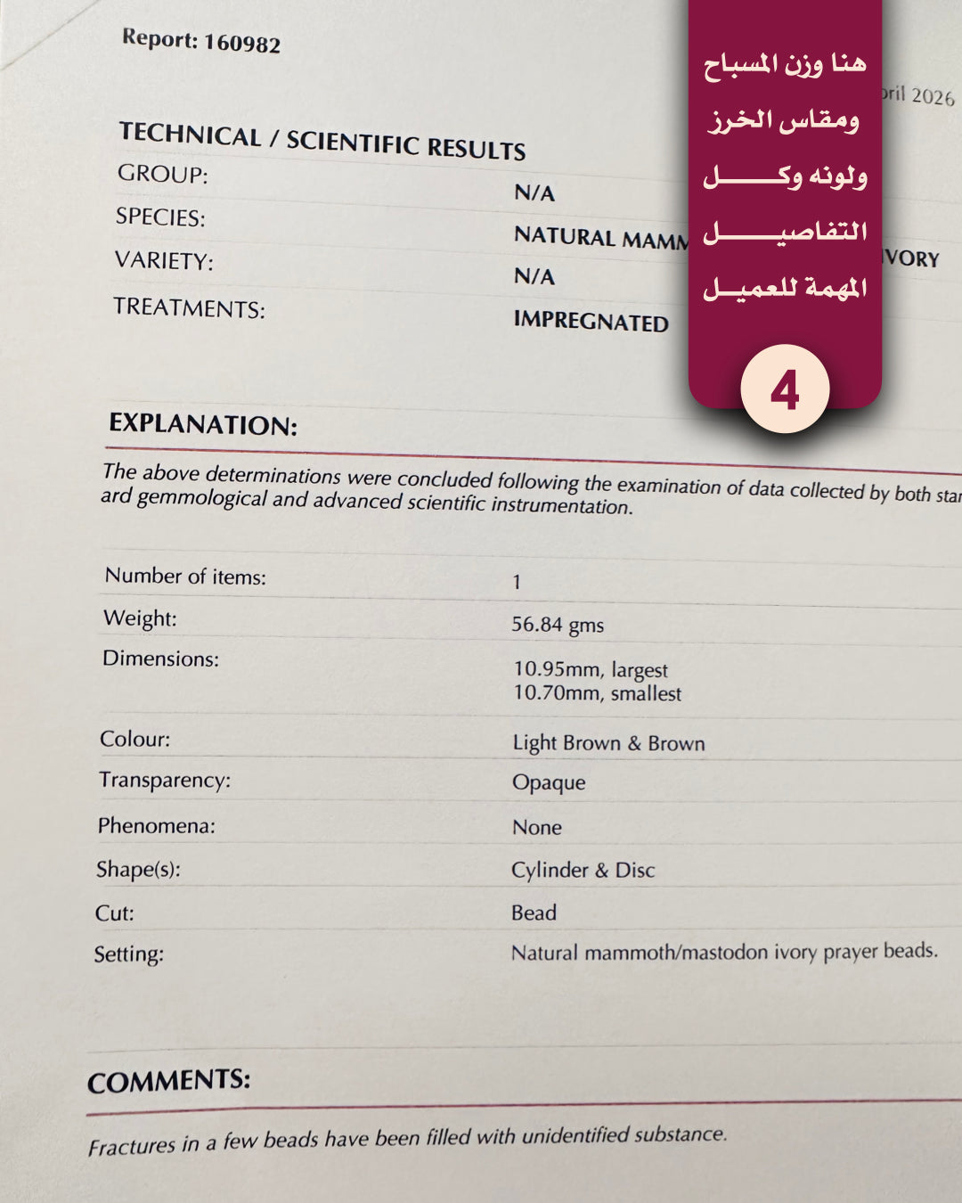 عاج ماموث طبيعي