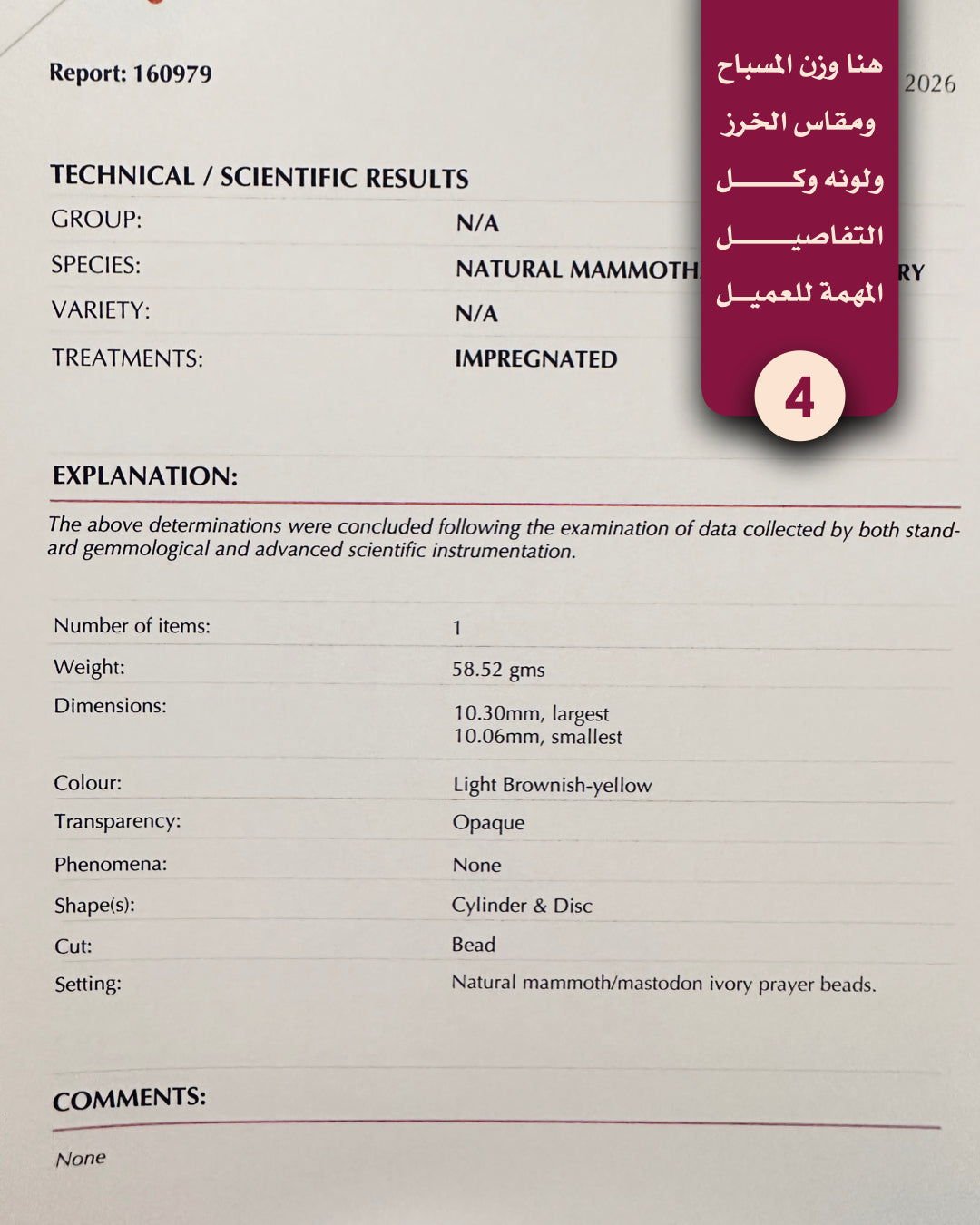 عاج ماموث أبيض